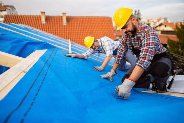 Professional Roofing in Basehor, KS